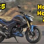 Honda Hornet 2.0 Bike