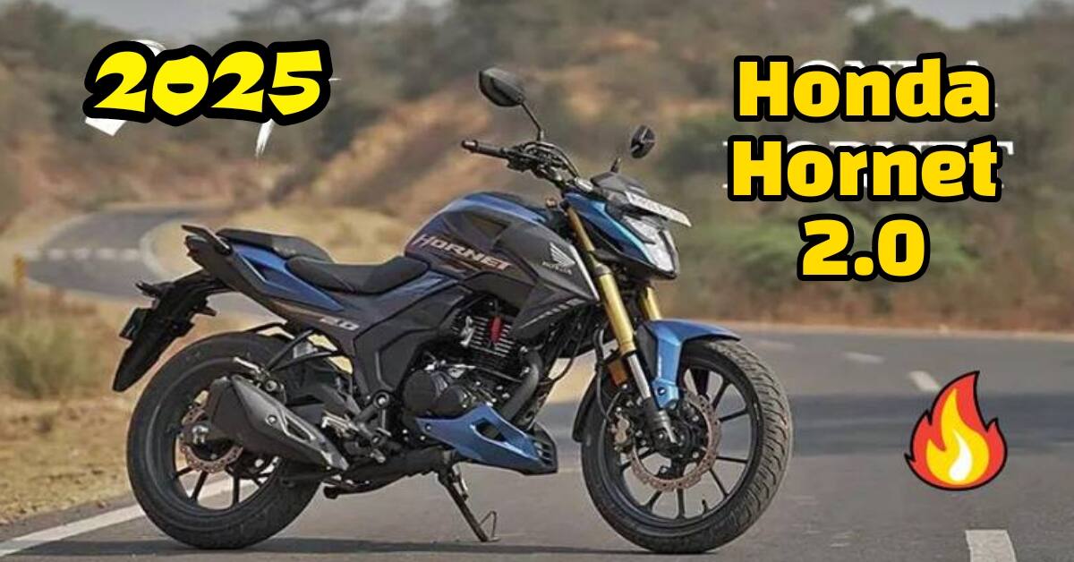 Honda Hornet 2.0 Bike