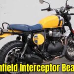 Interceptor Bear 650