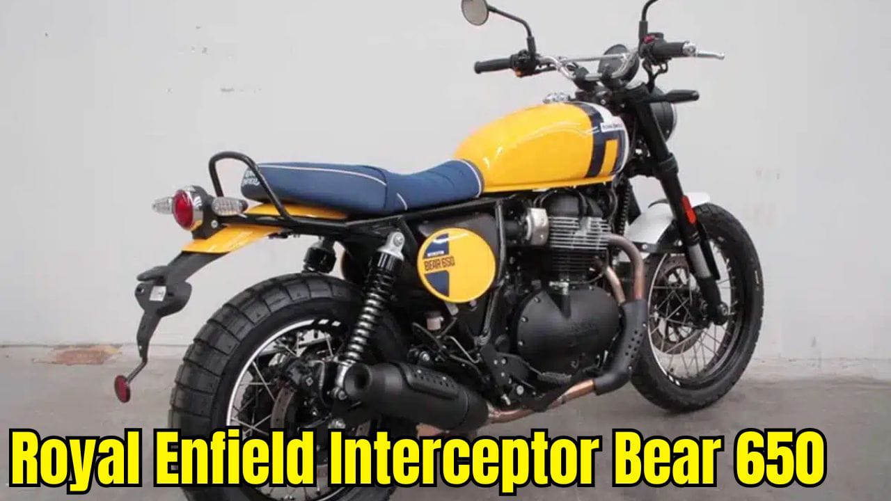 Interceptor Bear 650