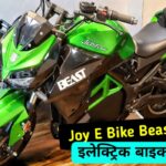 Joy e-bike Beast