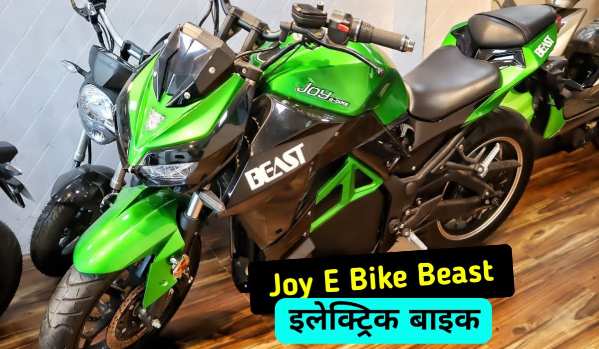 Joy e-bike Beast